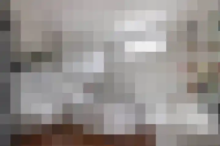 Zwaluw 20 Heemskerk thumbnail 25