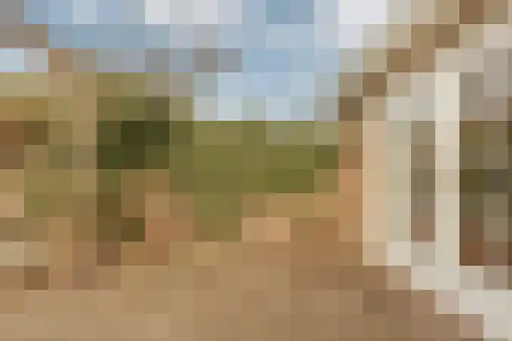 Zwaluw 20 Heemskerk thumbnail 29