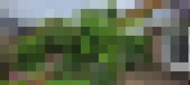 Zwaluw 20 Heemskerk thumbnail 30