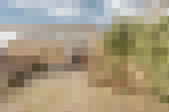 Zwaluw 20 Heemskerk thumbnail 32