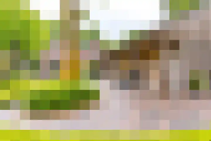 Zwaluw 20 Heemskerk thumbnail 38