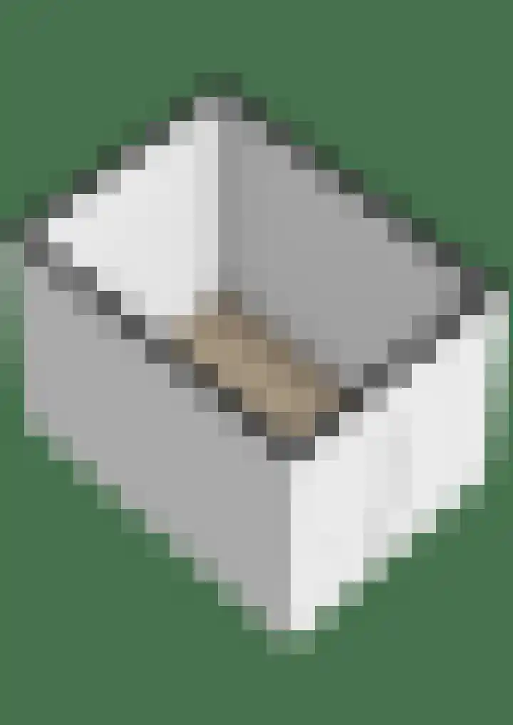 Zwaluw 20 Heemskerk thumbnail 42
