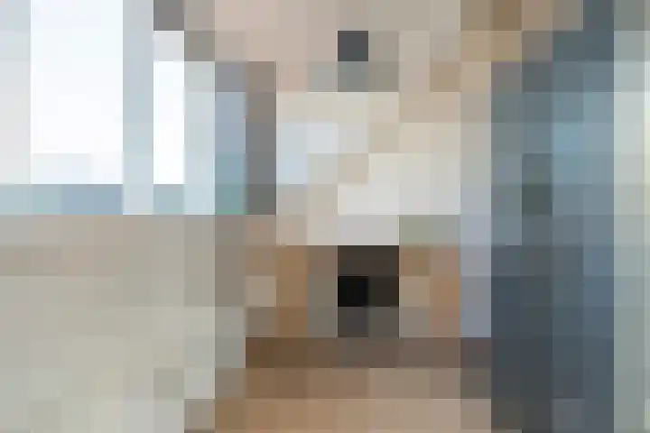Zwaluw 20 Heemskerk thumbnail 47