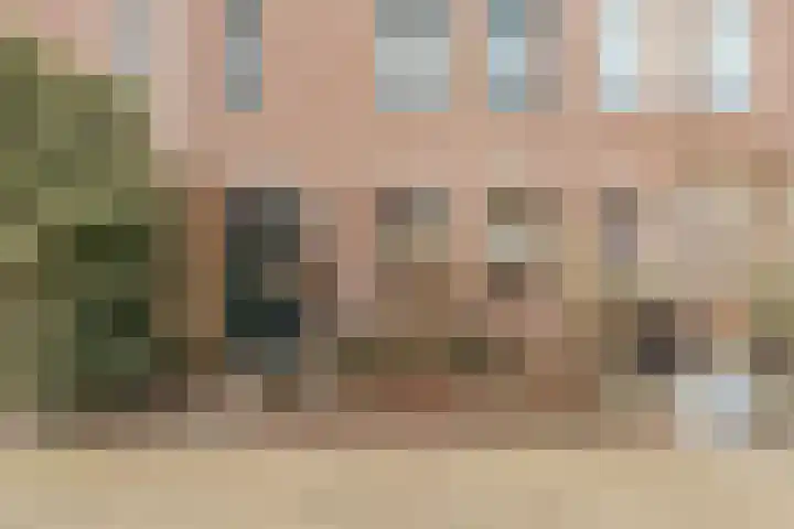 Zwaluw 20 Heemskerk thumbnail 5