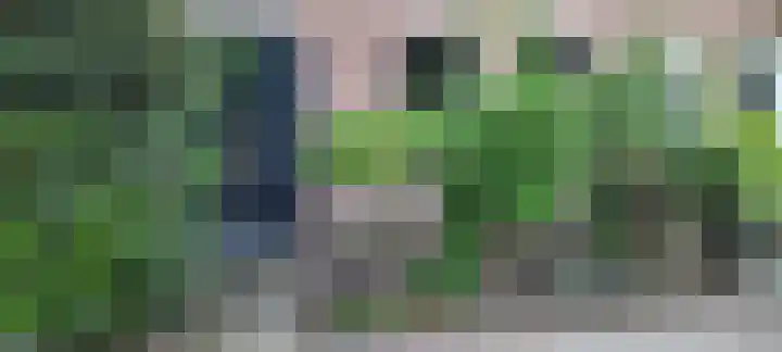 Zwaluw 20 Heemskerk thumbnail 50