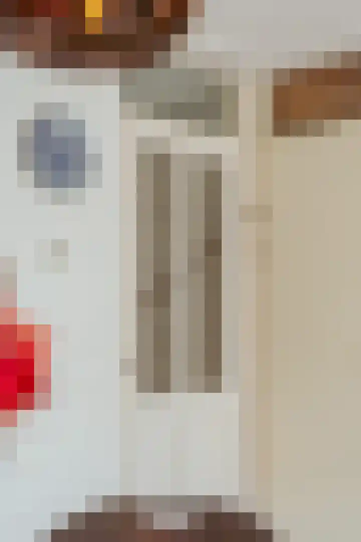 Zwaluw 20 Heemskerk thumbnail 7