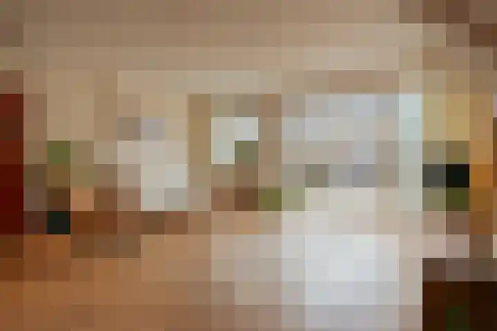 Zwaluw 20 Heemskerk thumbnail 9