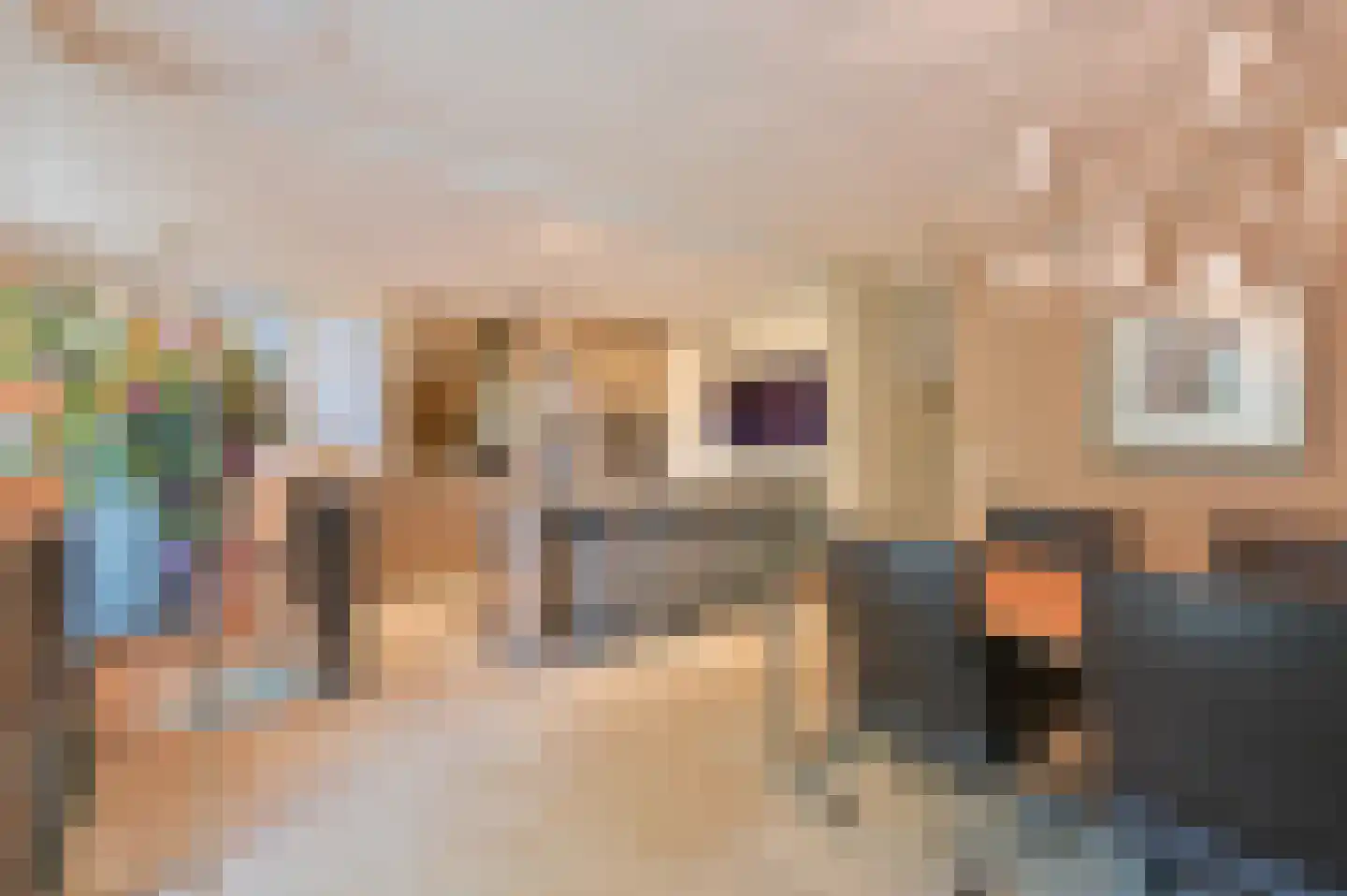 Zwaluw 21 Mijdrecht thumbnail 11