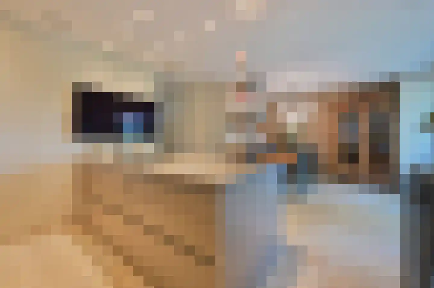 Zwaluw 21 Mijdrecht thumbnail 13