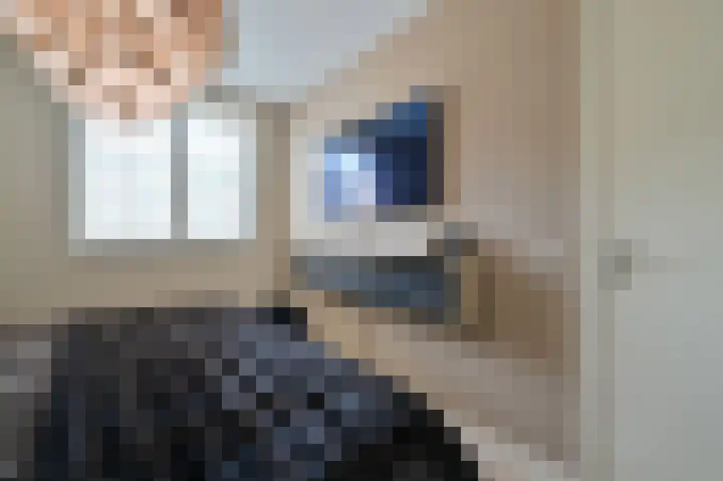 Zwaluw 21 Mijdrecht thumbnail 16