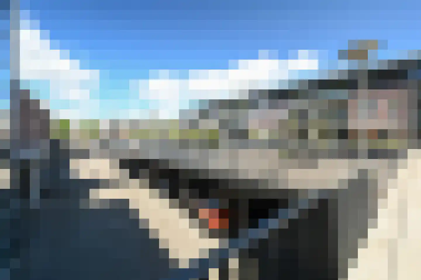 Zwaluw 21 Mijdrecht thumbnail 33