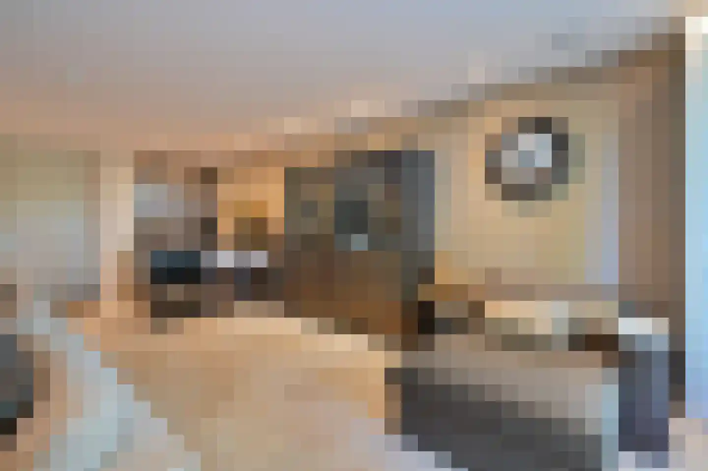 Zwaluw 21 Mijdrecht thumbnail 8