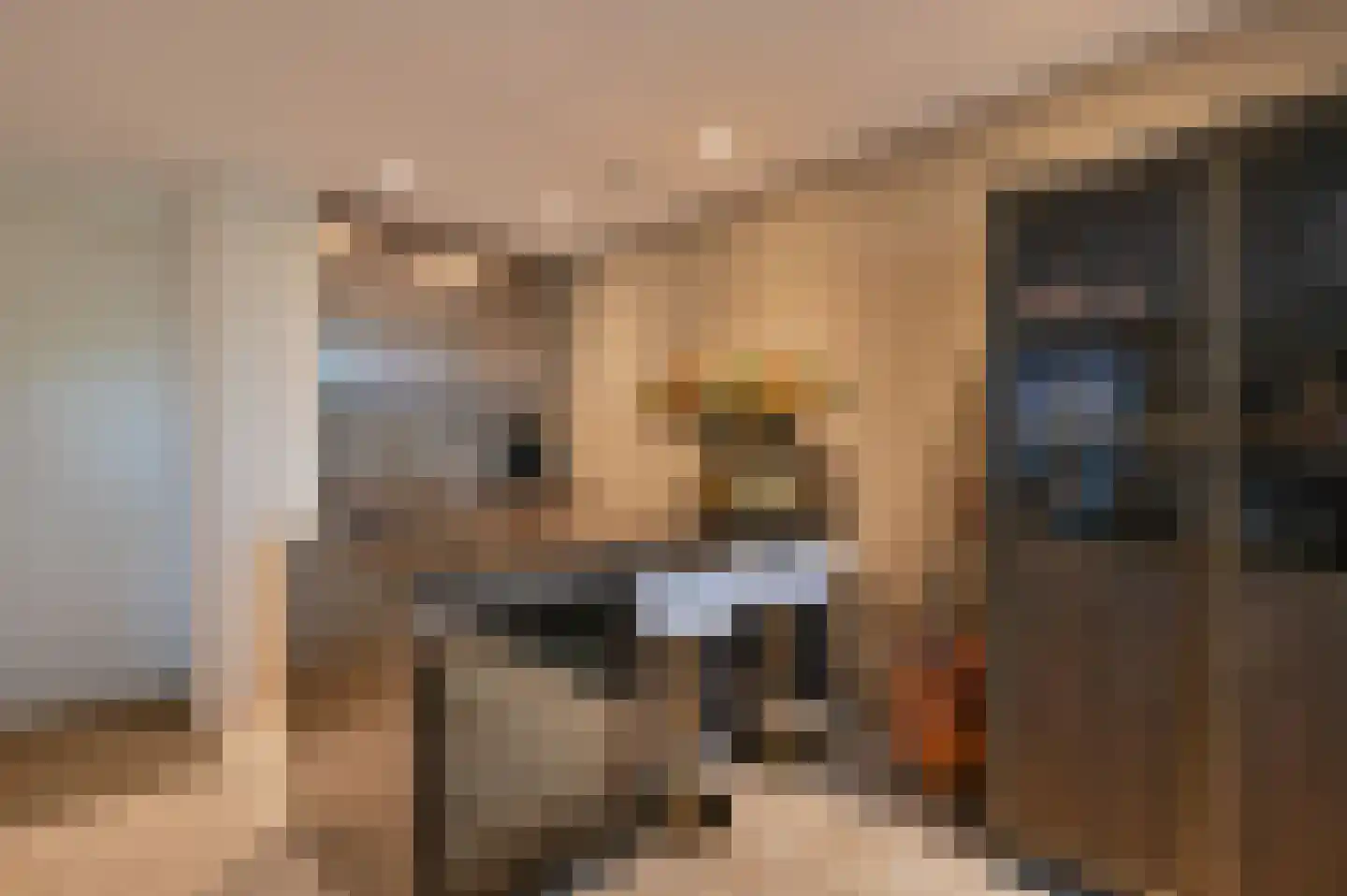 Zwaluw 21 Mijdrecht thumbnail 9