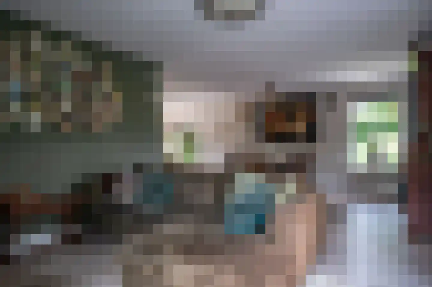 Zwaluw 21 Staphorst thumbnail 10