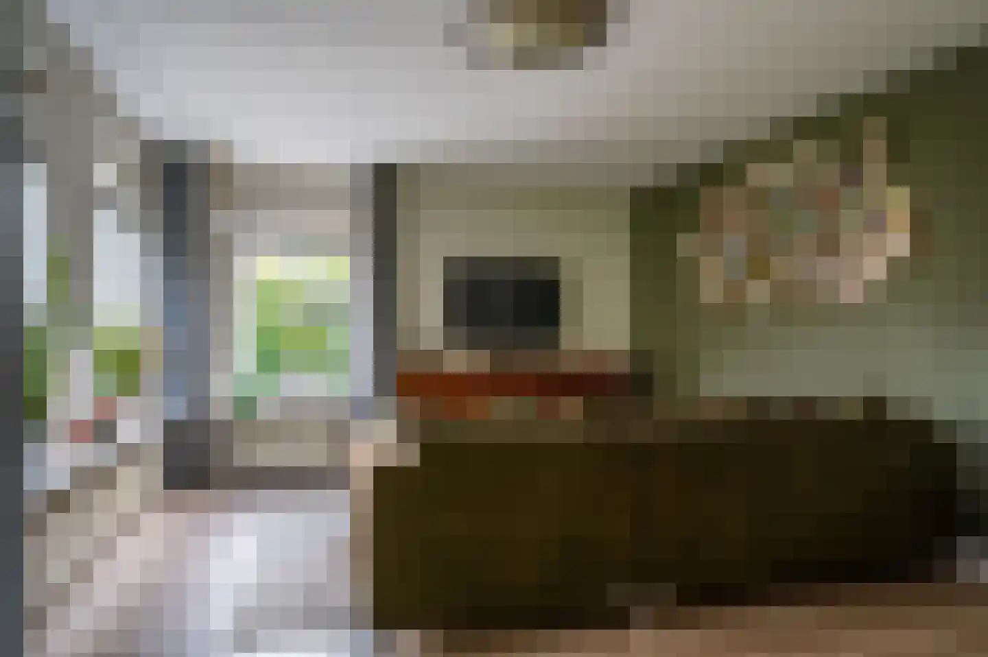 Zwaluw 21 Staphorst thumbnail 11