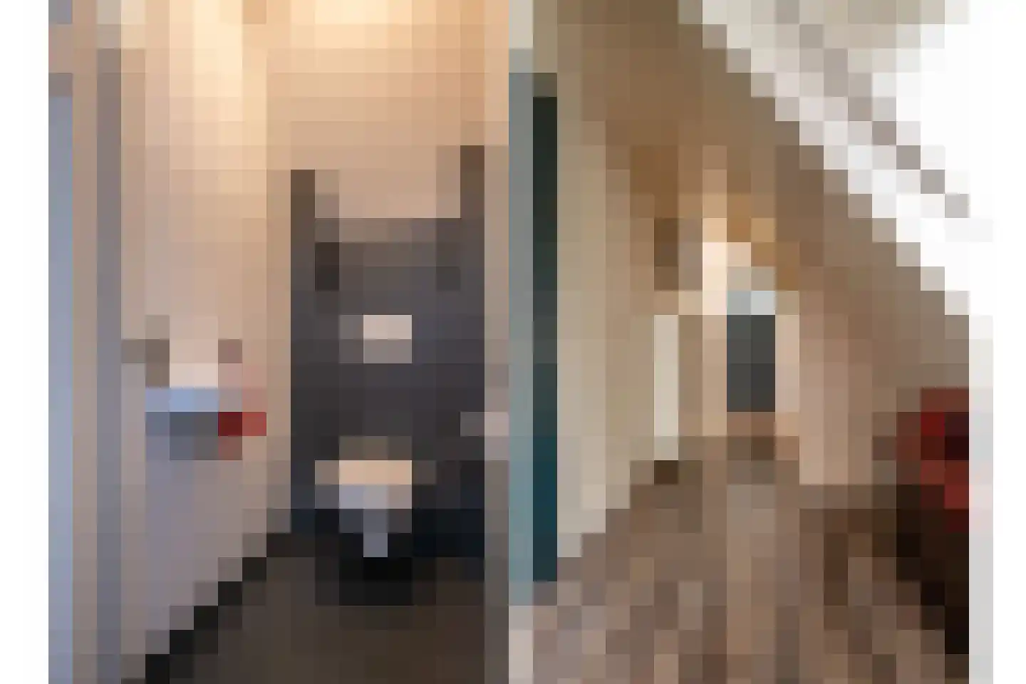 Zwaluw 21 Staphorst thumbnail 14