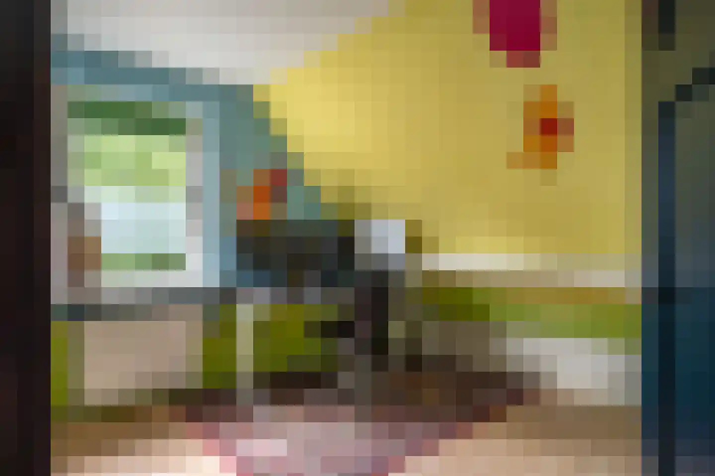 Zwaluw 21 Staphorst thumbnail 16