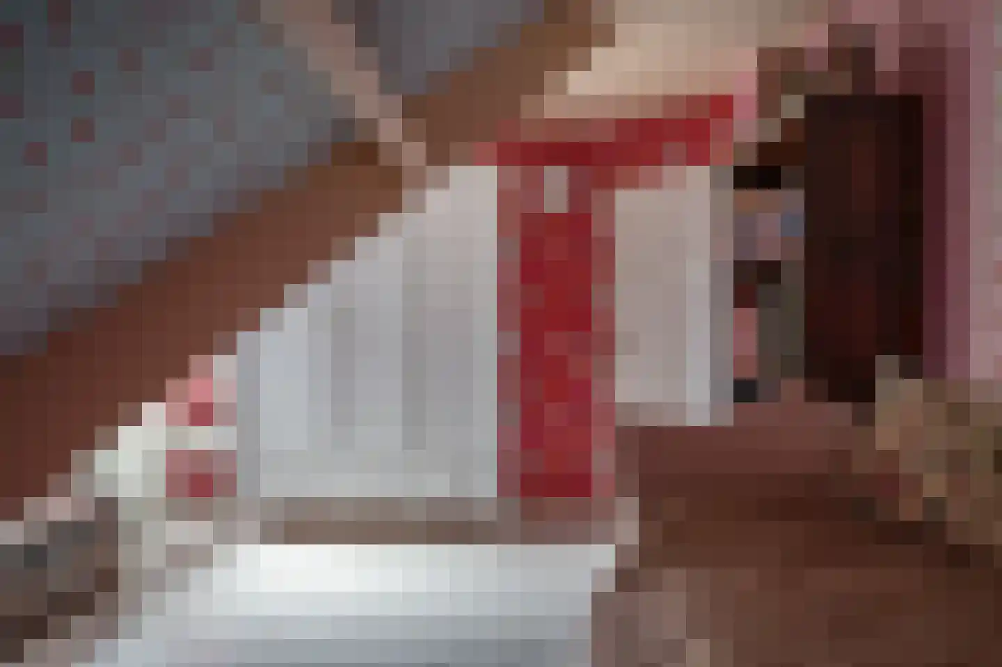Zwaluw 21 Staphorst thumbnail 18