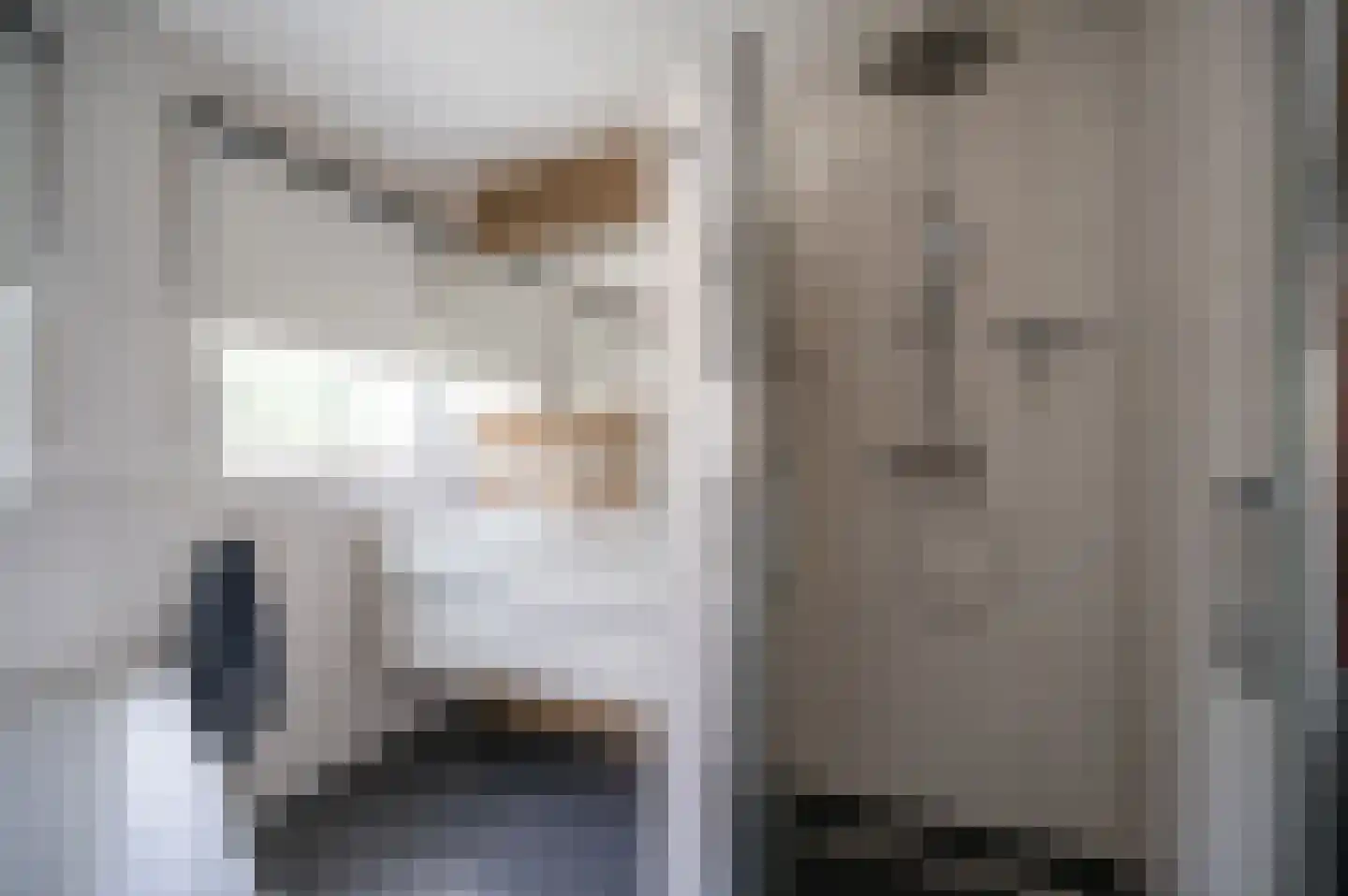 Zwaluw 21 Staphorst thumbnail 20
