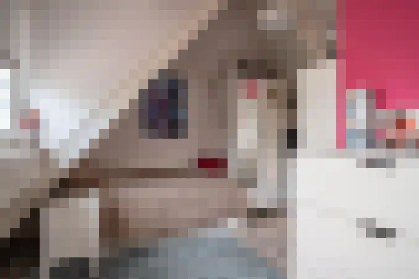 Zwaluw 21 Staphorst thumbnail 21
