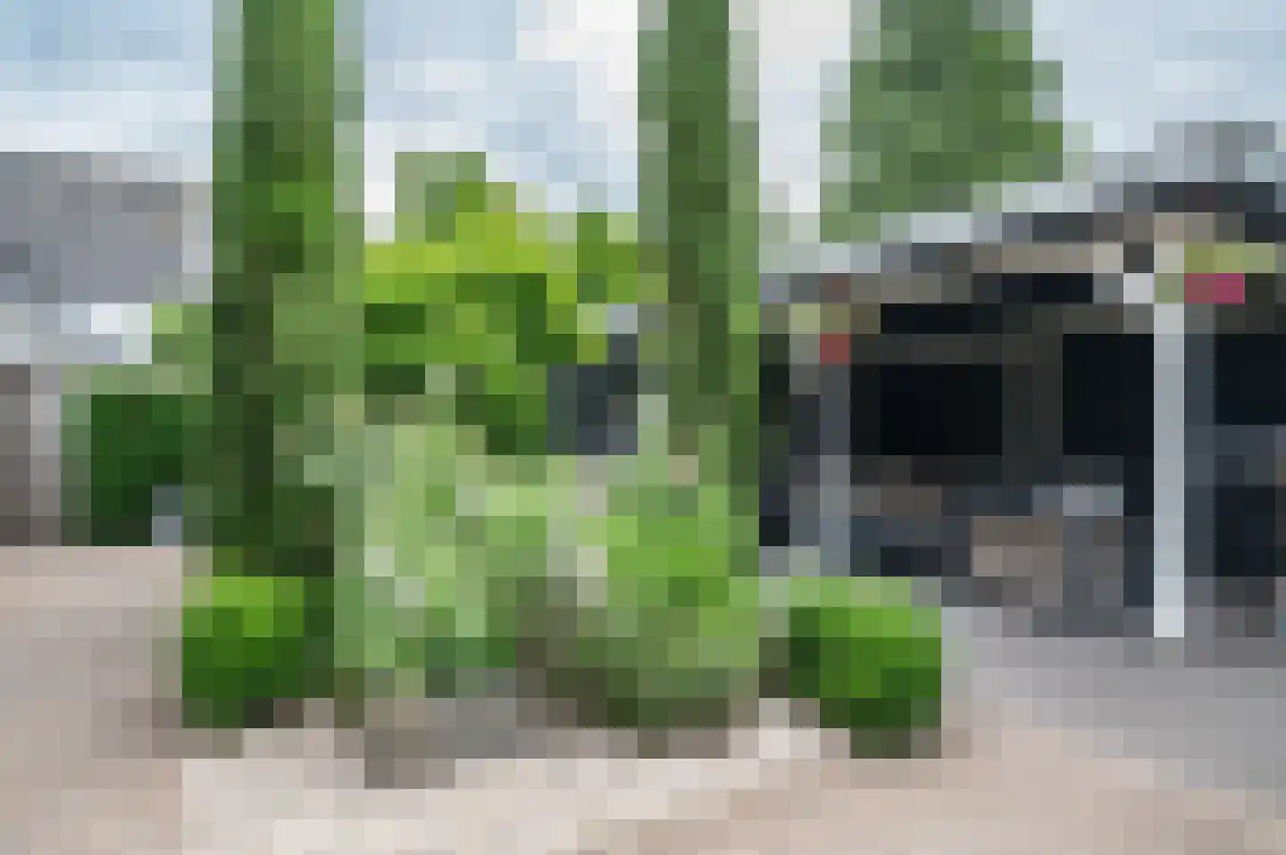 Zwaluw 21 Staphorst thumbnail 28