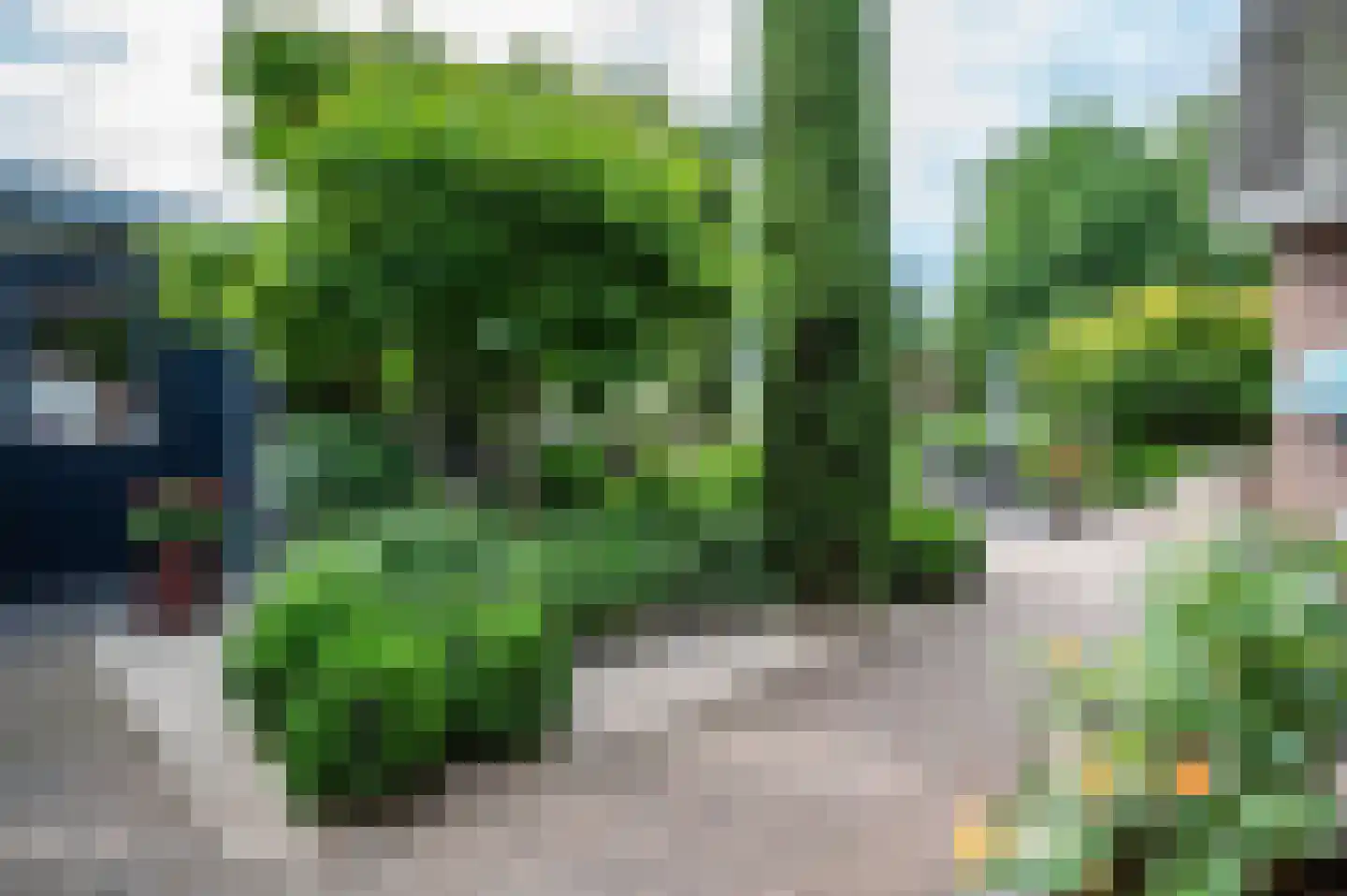 Zwaluw 21 Staphorst thumbnail 34