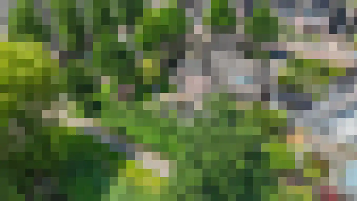 Zwaluw 21 Staphorst thumbnail 37