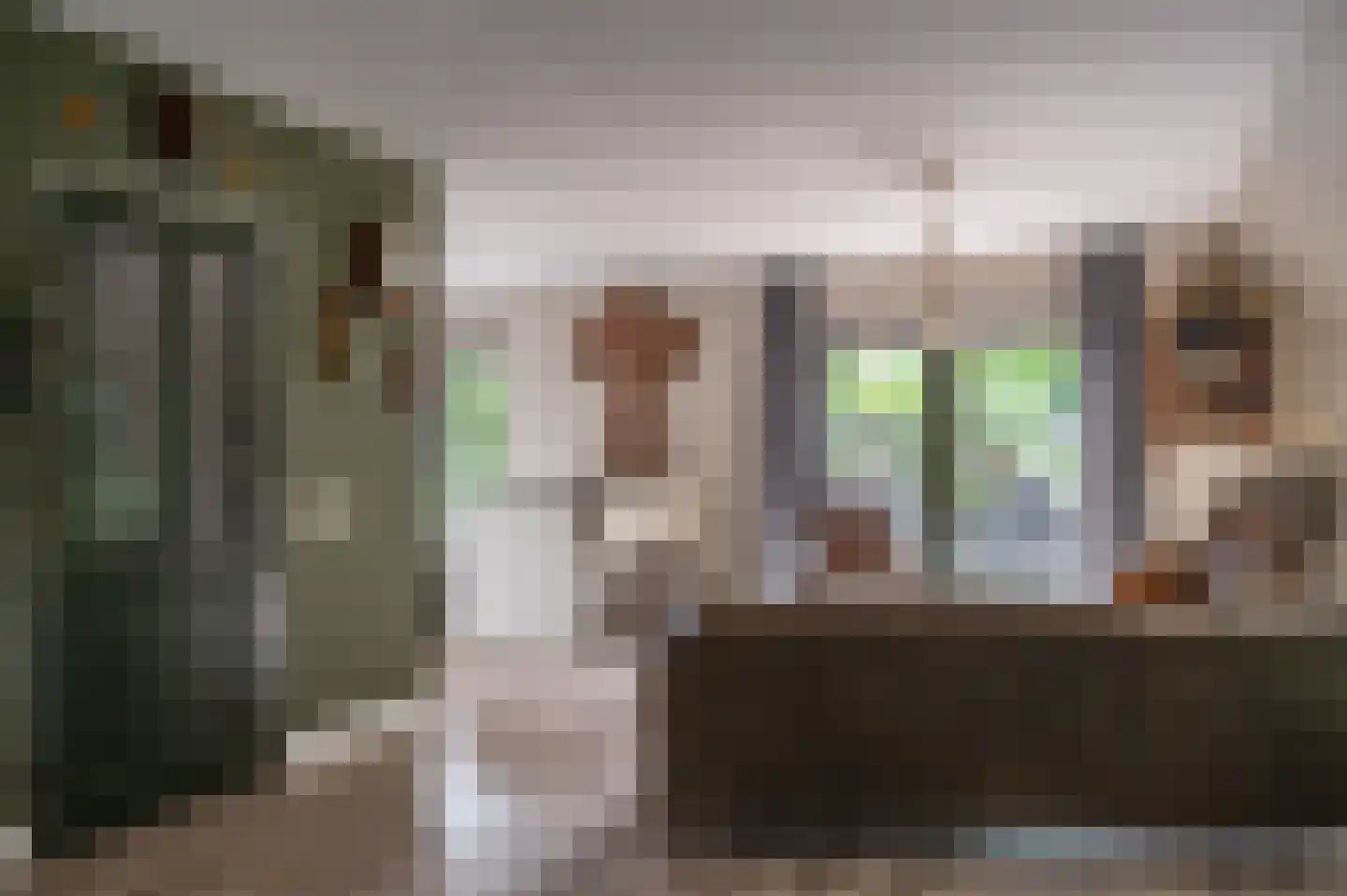 Zwaluw 21 Staphorst thumbnail 5