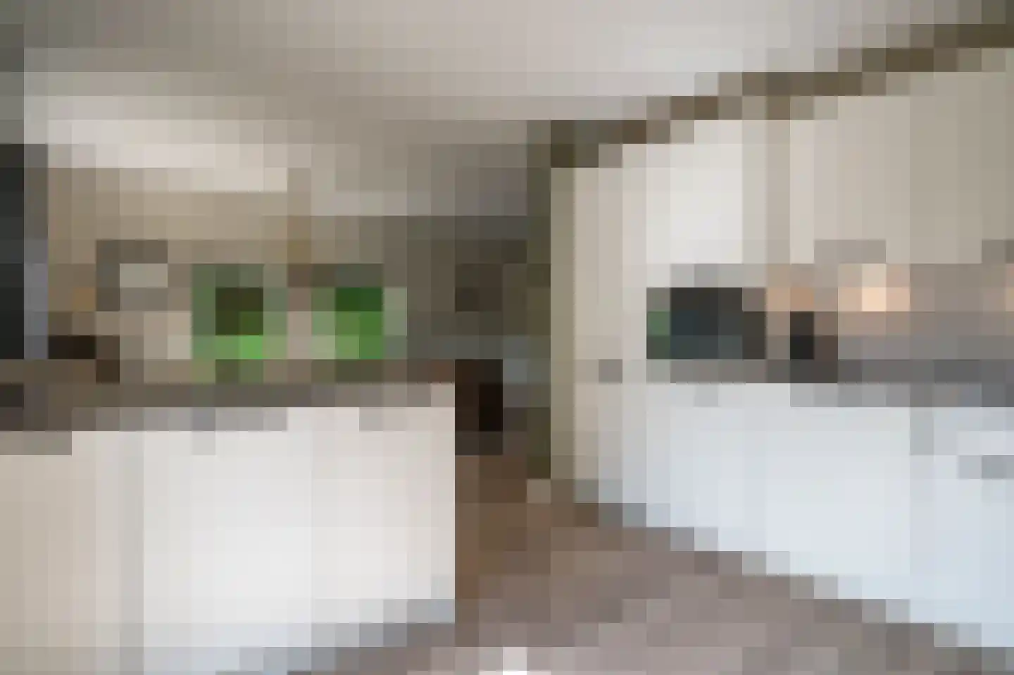 Zwaluw 21 Staphorst thumbnail 6