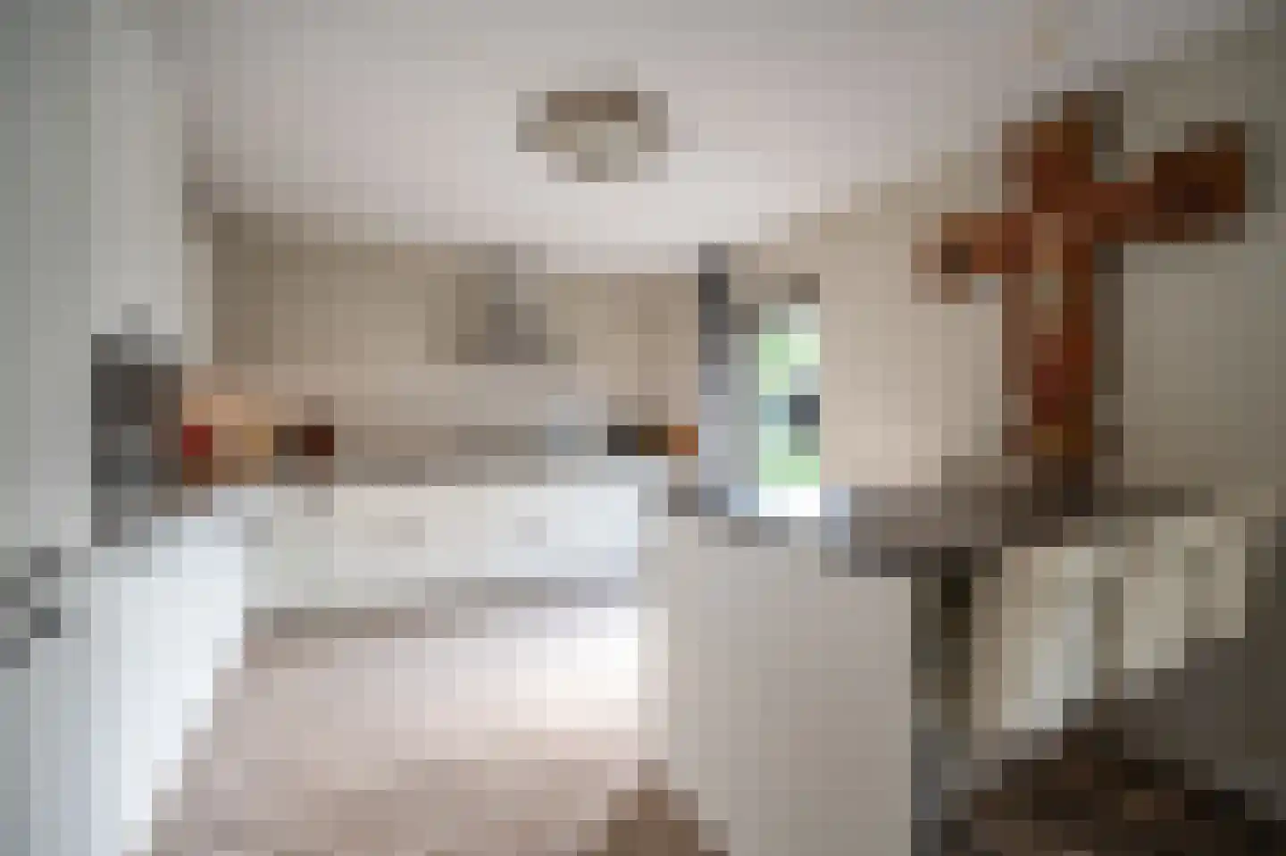 Zwaluw 21 Staphorst thumbnail 7