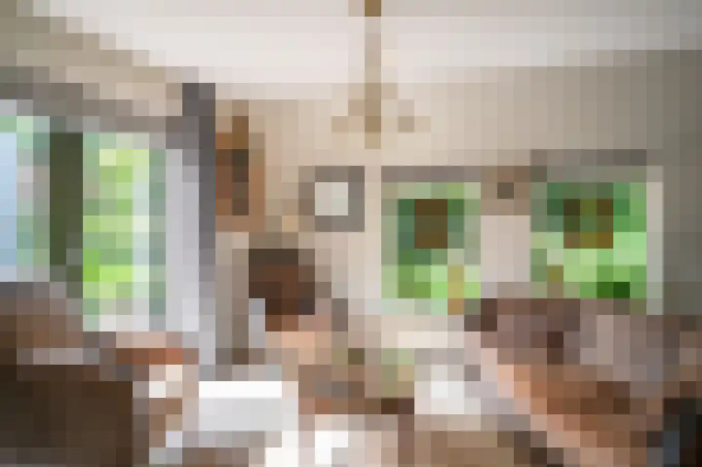 Zwaluw 21 Staphorst thumbnail 8