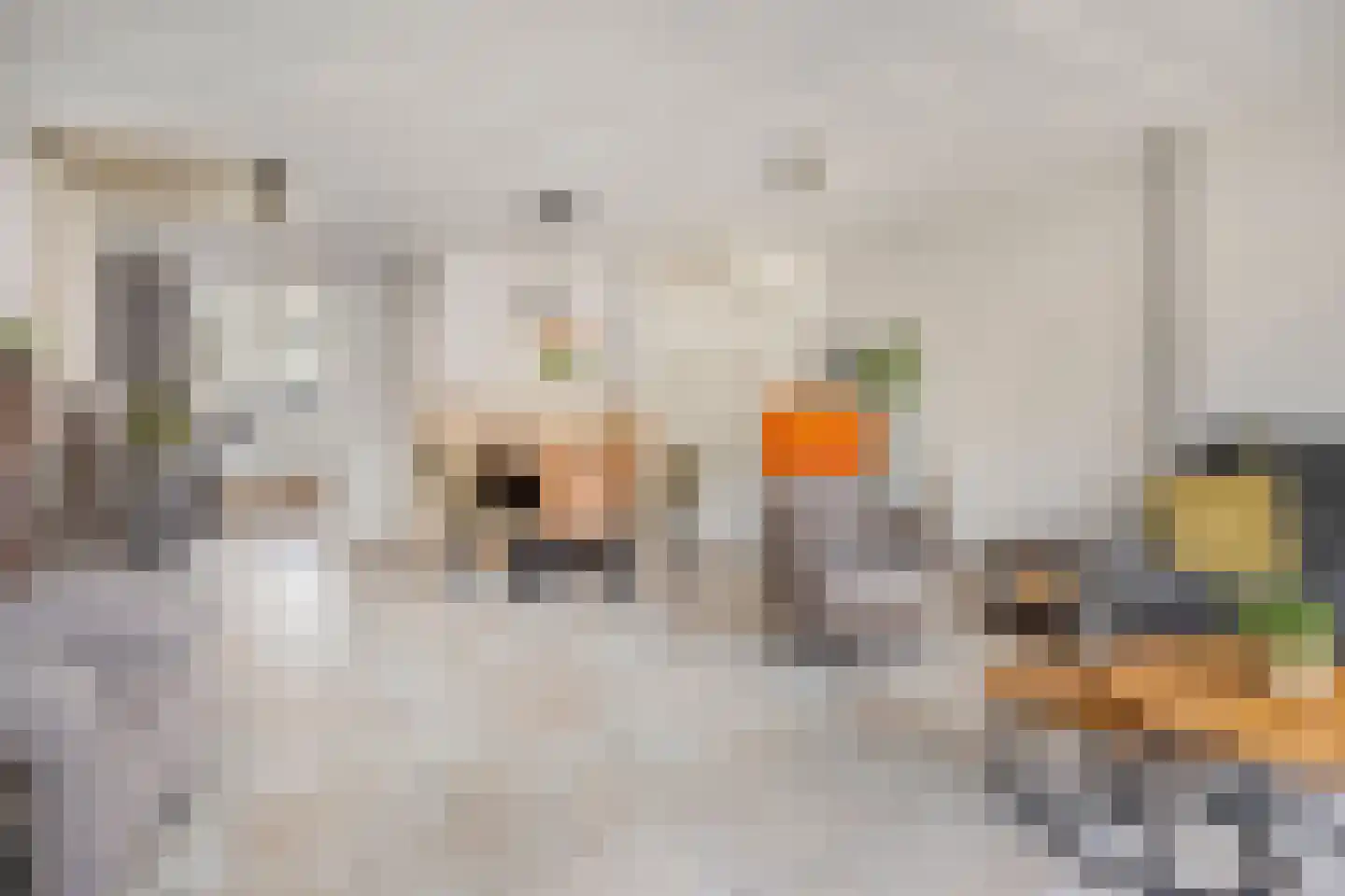 Zwaluw 23 De Lier thumbnail 11