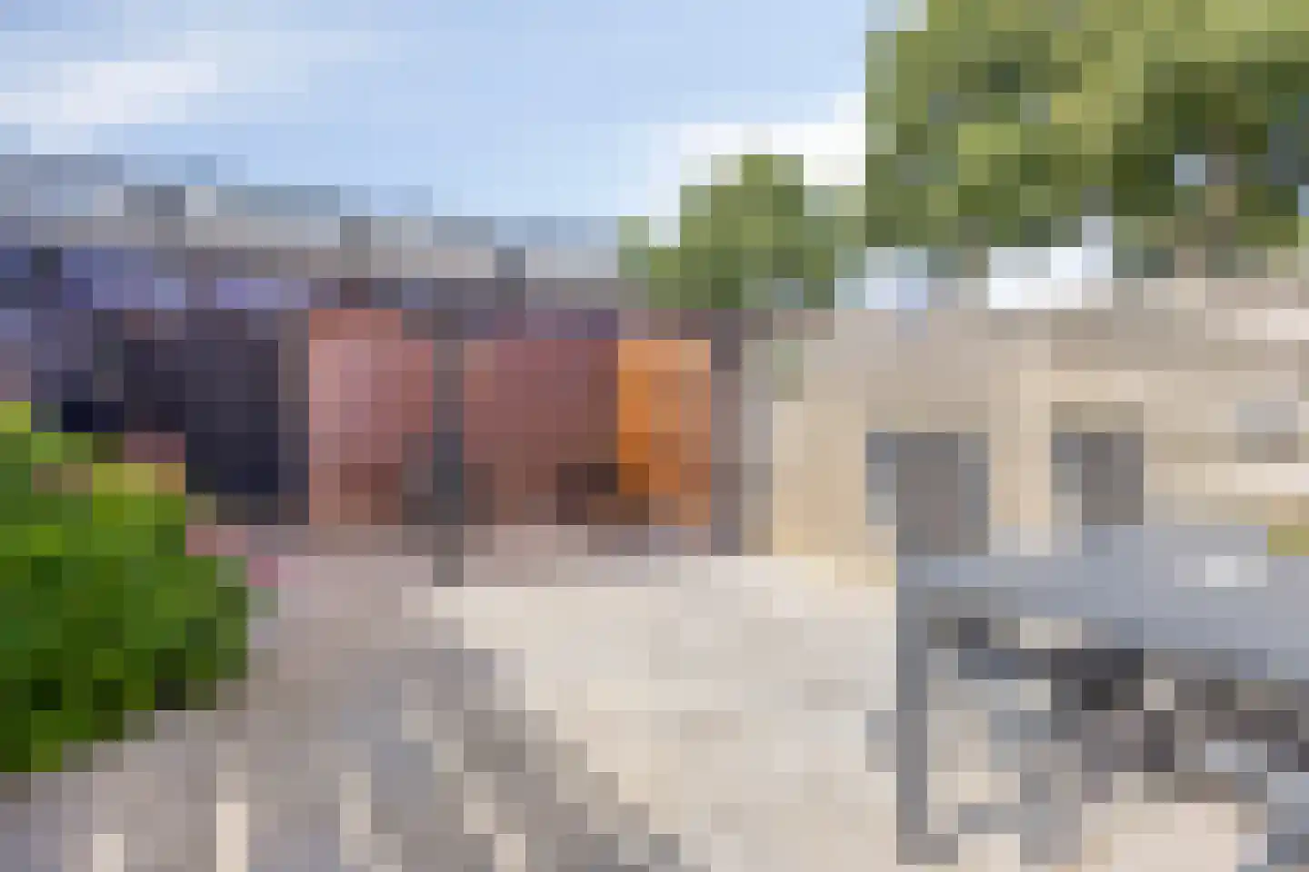 Zwaluw 23 De Lier thumbnail 4