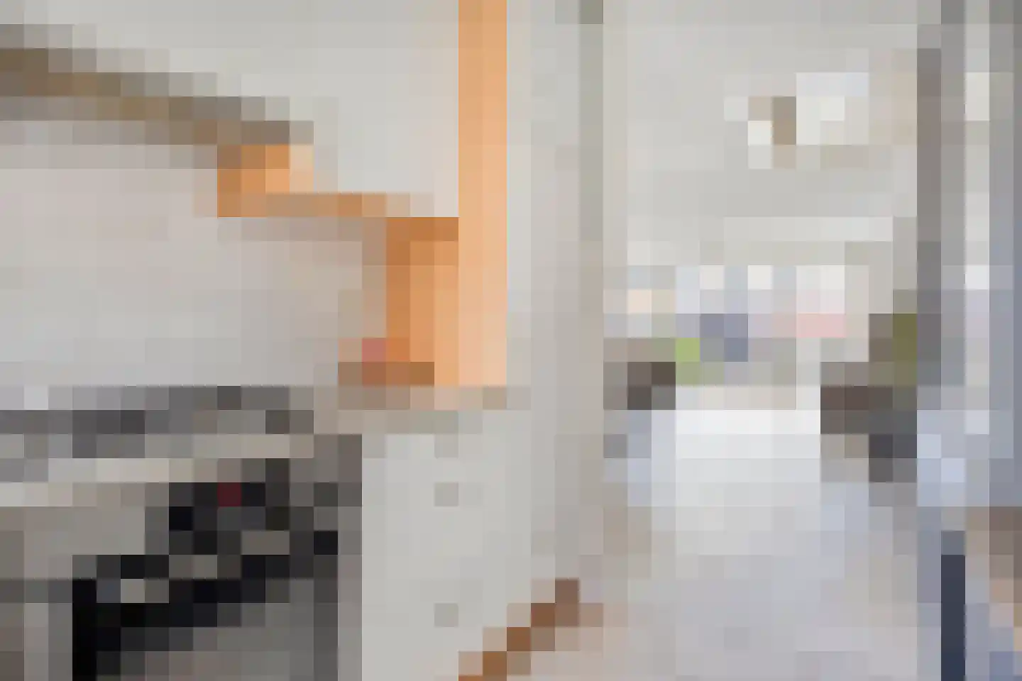 Zwaluw 23 De Lier thumbnail 8