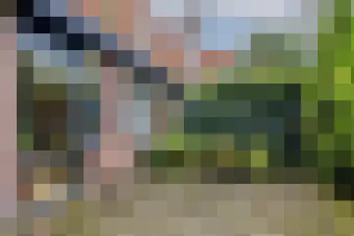 Zwaluw 24 Nieuwegein thumbnail 36