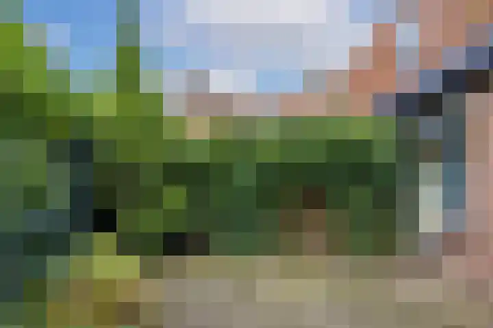Zwaluw 24 Nieuwegein thumbnail 37
