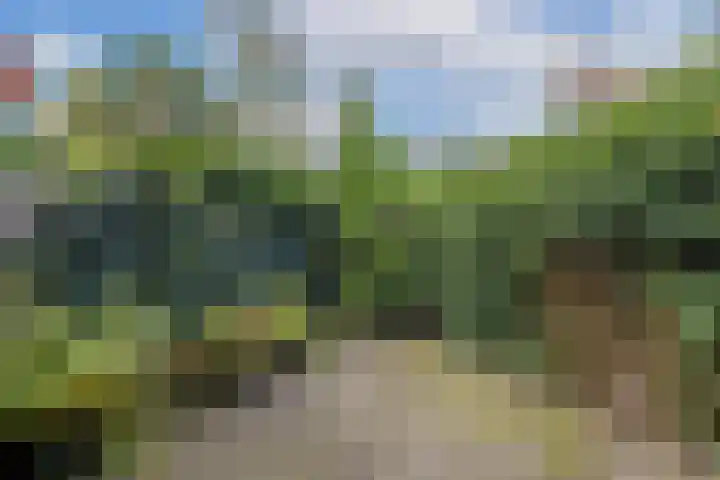 Zwaluw 24 Nieuwegein thumbnail 38