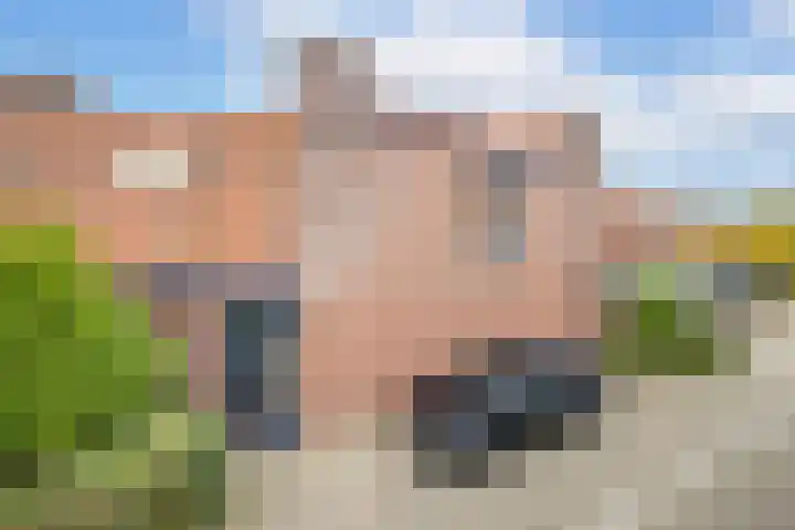 Zwaluw 24 Nieuwegein thumbnail 6