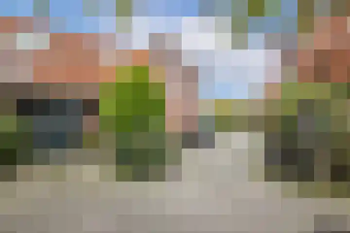Zwaluw 24 Nieuwegein thumbnail 7