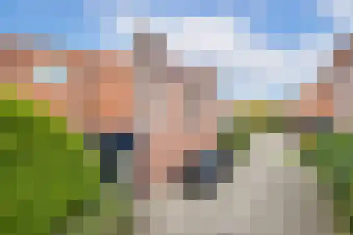 Zwaluw 24 Nieuwegein thumbnail 9