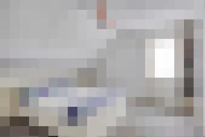 Zwaluw 3 Sint-Oedenrode thumbnail 11
