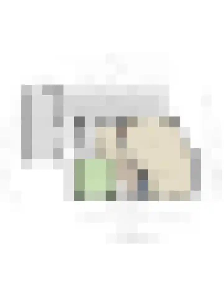 Zwaluw 3 Sint-Oedenrode thumbnail 13