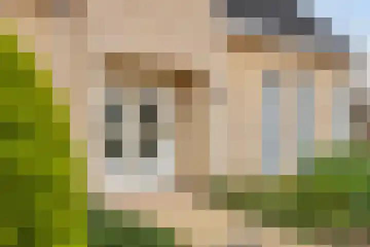 Zwaluw 3 Sint-Oedenrode thumbnail 14
