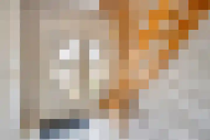 Zwaluw 3 Sint-Oedenrode thumbnail 15