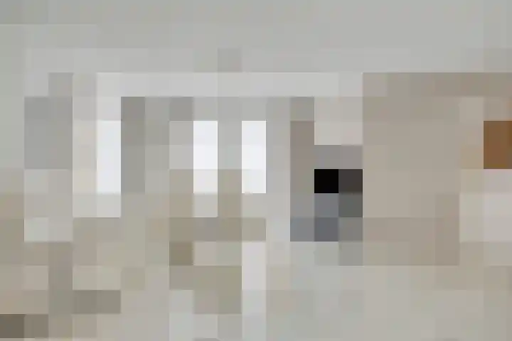 Zwaluw 3 Sint-Oedenrode thumbnail 18