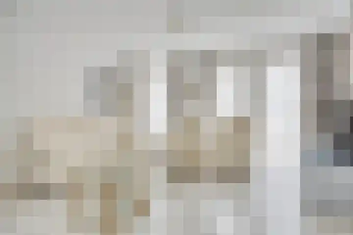 Zwaluw 3 Sint-Oedenrode thumbnail 19