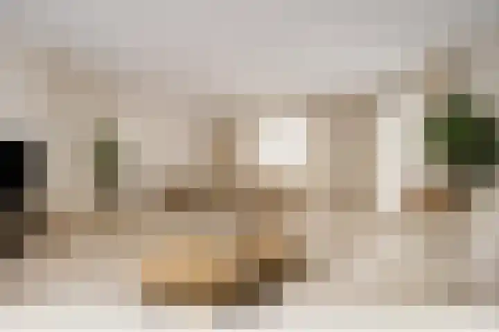 Zwaluw 3 Sint-Oedenrode thumbnail 21