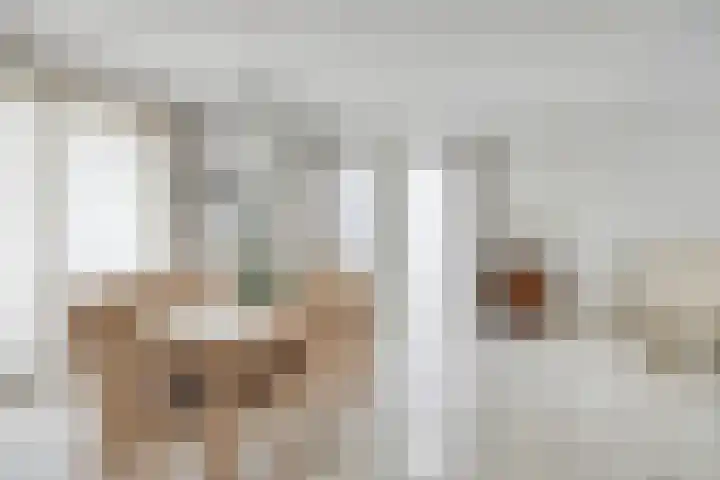 Zwaluw 3 Sint-Oedenrode thumbnail 23
