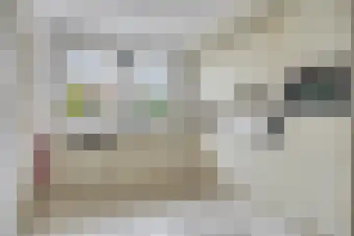 Zwaluw 3 Sint-Oedenrode thumbnail 24