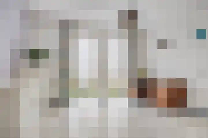 Zwaluw 3 Sint-Oedenrode thumbnail 26